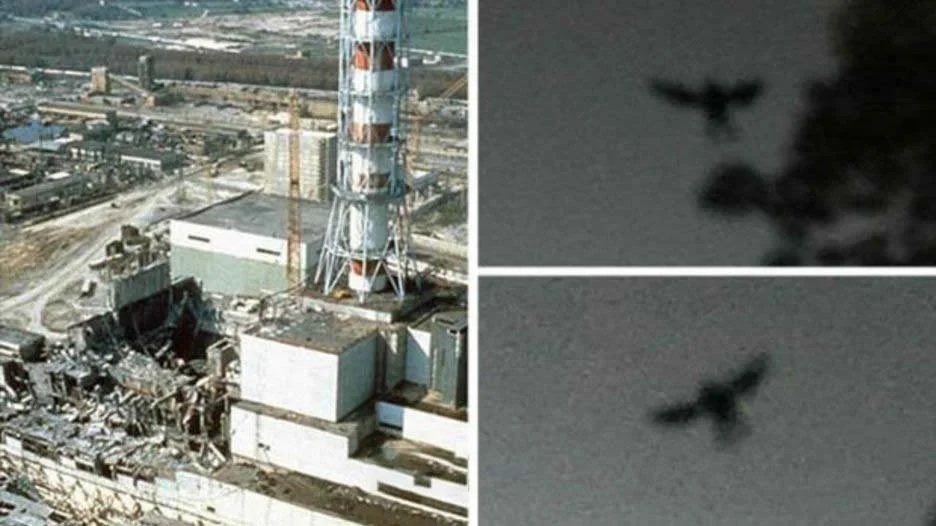 Chernobyl e as fotos da criatura que apareceu antes do desastre. Chernobyl e as fotos da criatura que apareceu antes do desastre.
