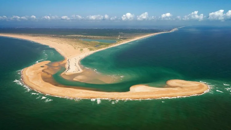 Ilha Shelley