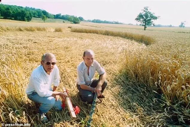 Doug Bower e Dave Chorley começaram a criar os agroglifos em 1978. Eles contam que a ideia surgiu em uma mesa de bar.