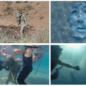 Foi assim que o Minotauro chegou no lago da Patagônia Argentina