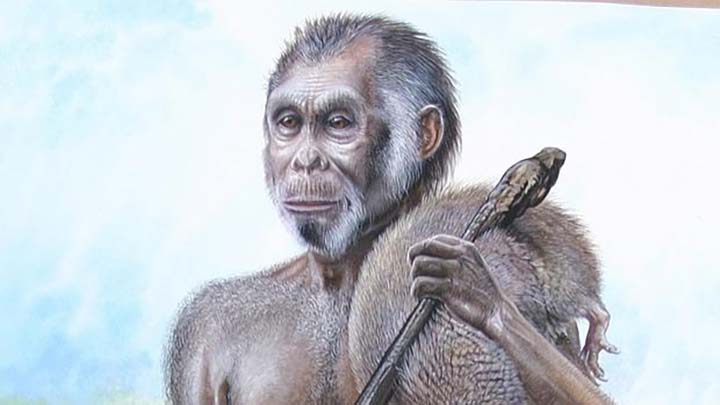 Os membros do Homo floresiensis ainda habitam a ilha indonésia onde seus fósseis ajudaram a identificar uma nova espécie humana há menos de 20 anos