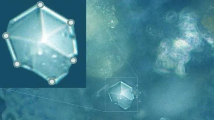 Uma imagem em close de um dos novos cristais tirada com um microscópio eletrônico.