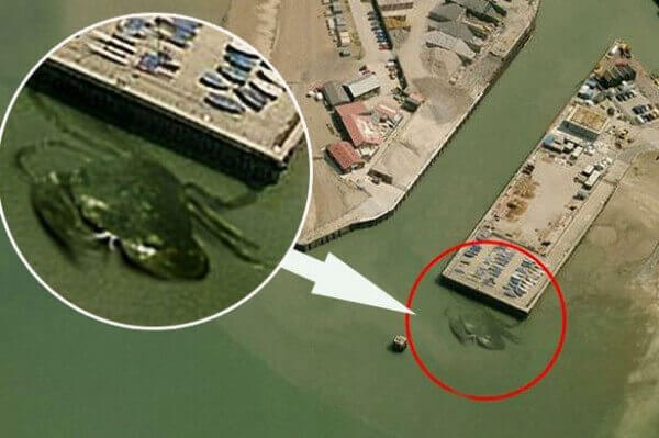 A imagem aérea mostra a silhueta de um caranguejo na entrada do porto de Kent. Mas o mais surpreendente e assustador é que o tamanho da criatura supera os barcos de pesca.
