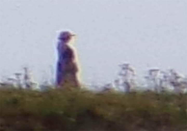 Close-up: uma foto ampliada da pessoa vista andando atrás da família. Ela parece estar com roupas antiquadas, usando um chapéu e carregando uma bolsa.