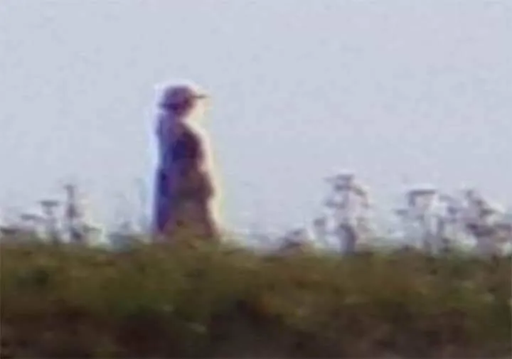 Close-up: uma foto ampliada da pessoa vista andando atrás da família. Ela parece estar com roupas antiquadas, usando um chapéu e carregando uma bolsa.