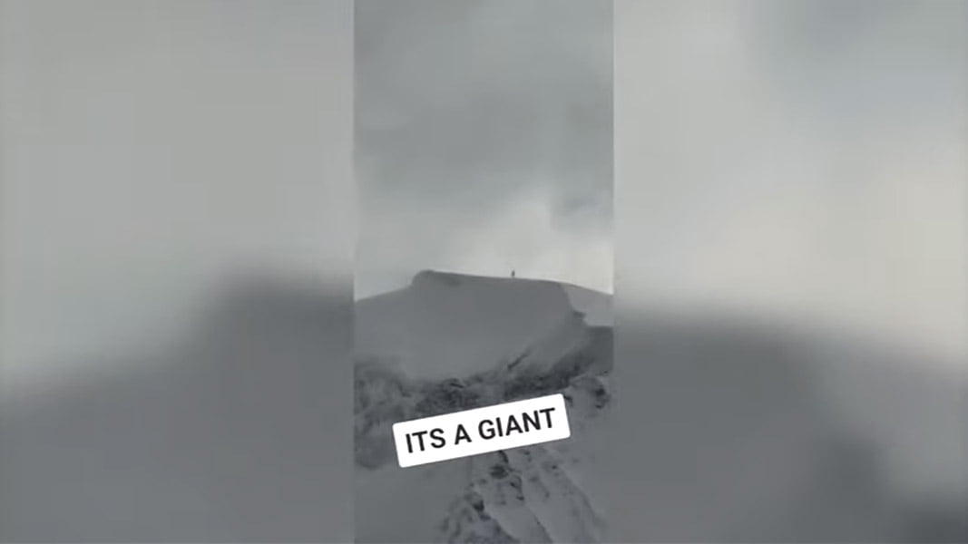 Isto é um Gigante?