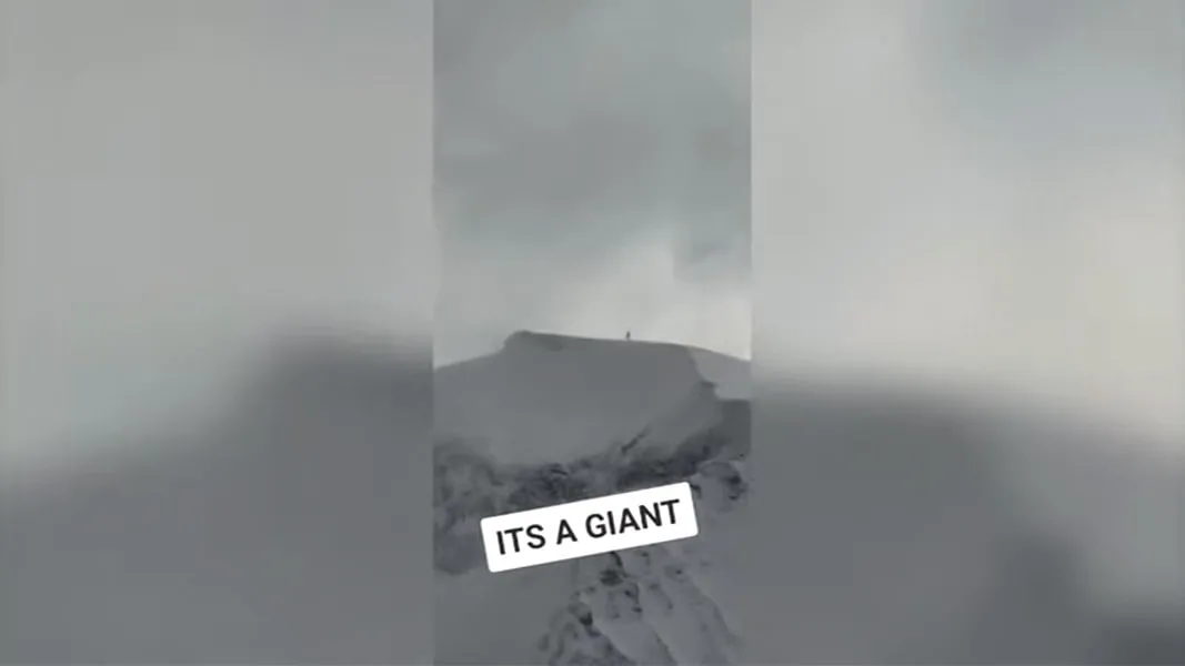Isto é um Gigante?