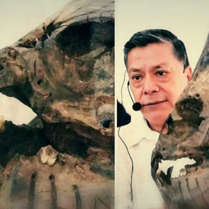 Pesquisador mexicano afirma ter encontrado um enorme “crânio alienígena”