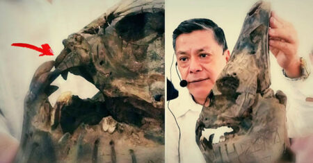 Pesquisador mexicano afirma ter encontrado um enorme “crânio alienígena”