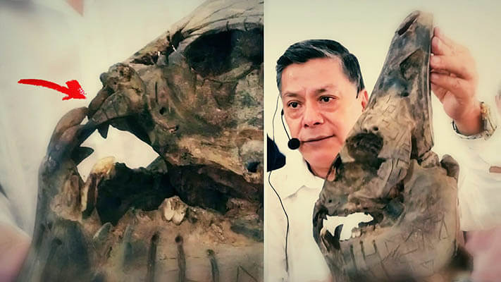 Pesquisador mexicano afirma ter encontrado um enorme crânio alienígena