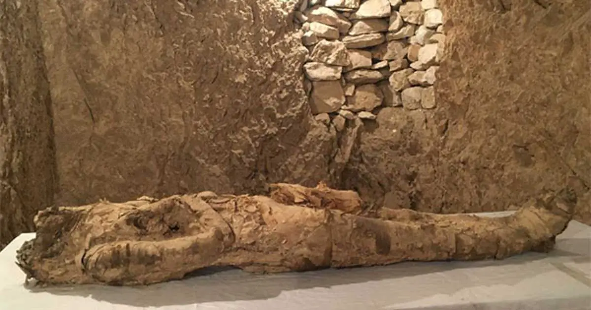 Dois túmulos antigos contendo inúmeros tesouros desenterrados no Egito e um contém uma múmia