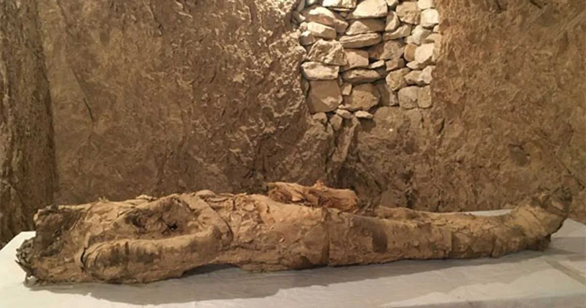 Dois túmulos antigos contendo inúmeros tesouros foram desenterrados no Egito e um deles contém uma múmia