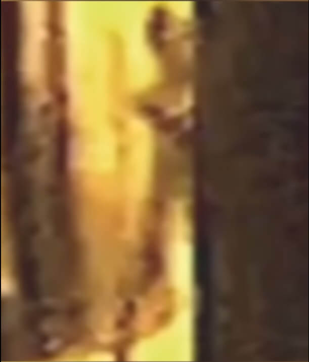 Imagem ampliada retirada do vídeo.