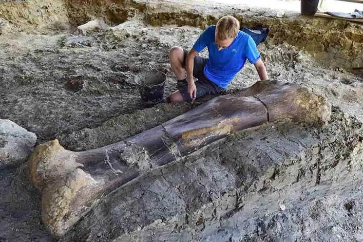 Os restos de animais lendários permanecem enterrados em várias regiões do planeta.