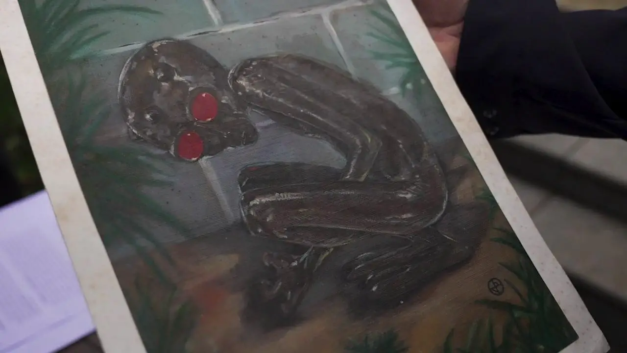 Desenho da suposta criatura “alienígena” de Varginha.