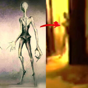 Vídeo do History Channel mostra suposto ‘alienígena’ entrando no quarto de uma pessoa