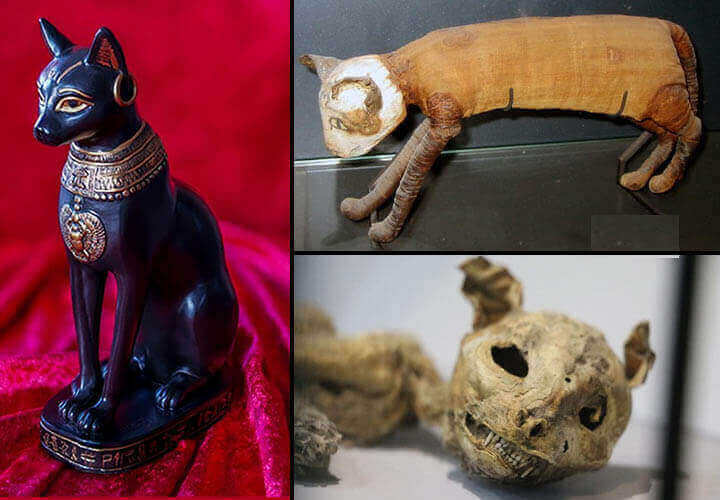 Esquerda: Figura da deusa Bastet. Acima, à direita: múmia de gato egípcio. Embaixo, à direita: Múmia de um gato em exibição no Museu Aksaray.