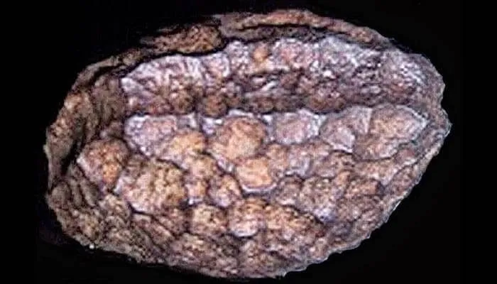 Por muito tempo se acreditou ser um fragmento de um meteorito, mas a análise revelou que era artificial.