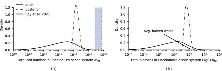 Na imagem: (a) Células em pé e (b) estimativas de população de biomassa.