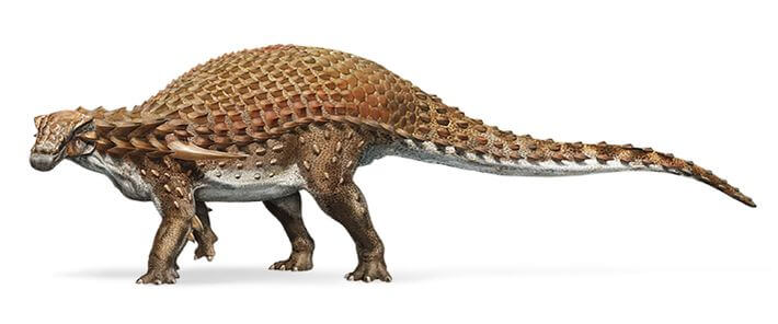 Nodosaurus ("lagarto nodoso") é um gênero de dinossauro nodossaurídeo que viveu no Final do Cretáceo.