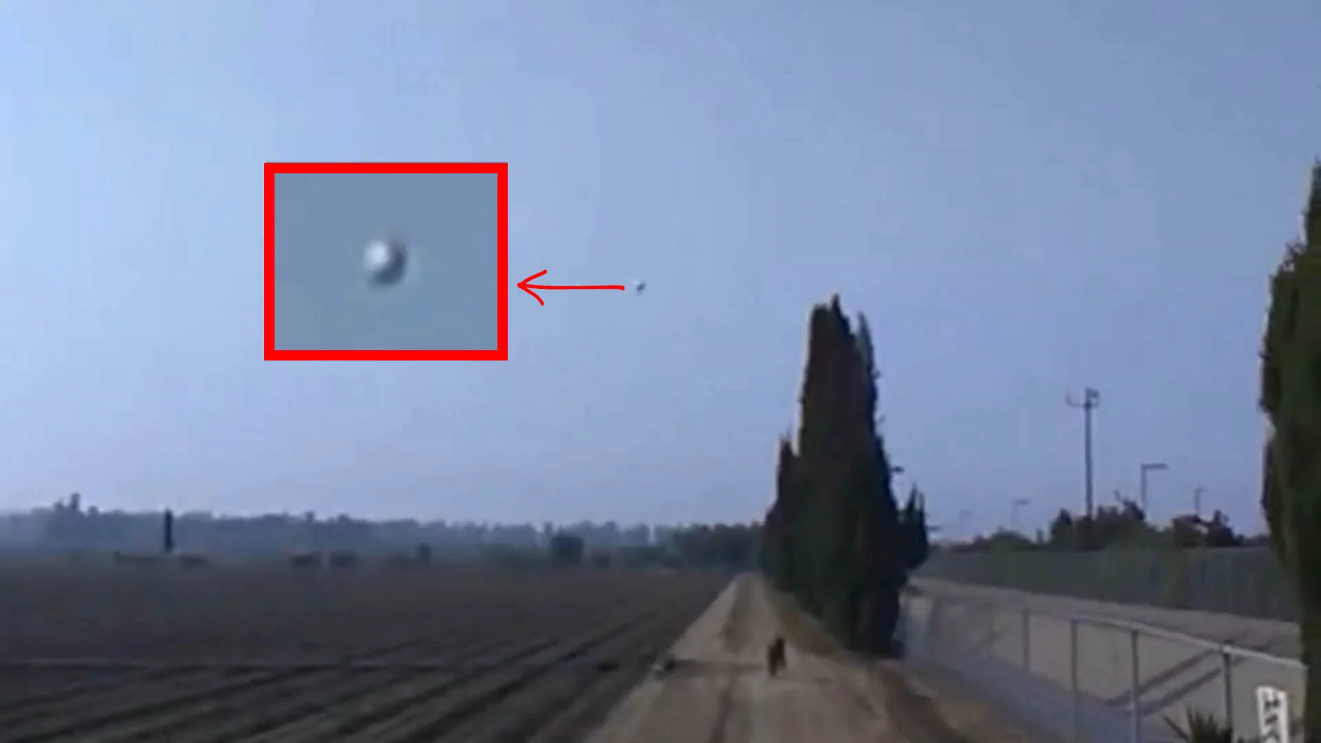 Homem e seu cachorro encontram um orbe intrigante.