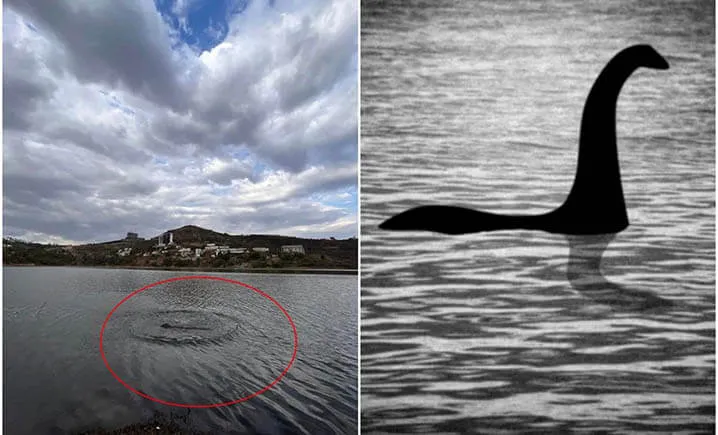 Imagem do monstro(esquerda) - Nessie(direita).