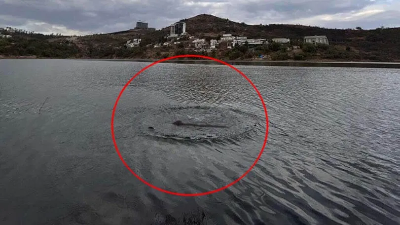 A polícia investiga o aparecimento de um monstro parecido com Nessie em uma barragem mexicana