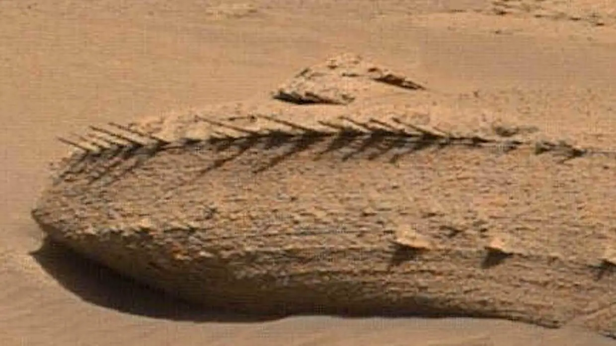 Um astrobiólogo descobre uma estranha formação semelhante a um osso em Marte
