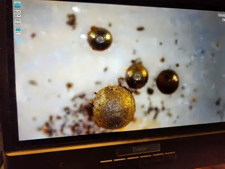 Esferas aparecendo na imagem do microscópio.