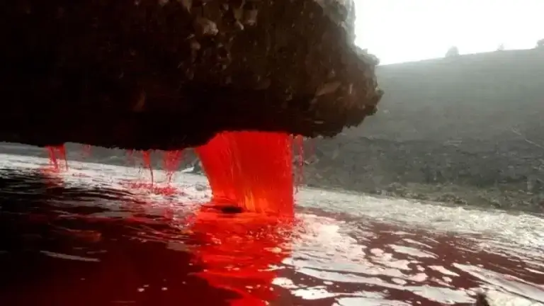 Essa água que sai da cachoeira de sangue vem de um lago de água salgada, que foi coberta por geleiras e por isso perdeu o contato com a atmosfera.