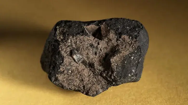 Um fragmento do meteorito Tagish Lake