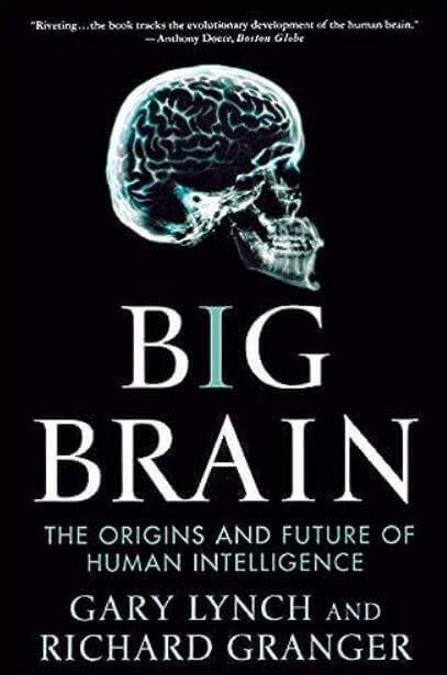 Capa do livro - BIG BRAIN - As Origens e o Futuro da Inteligência Humana.