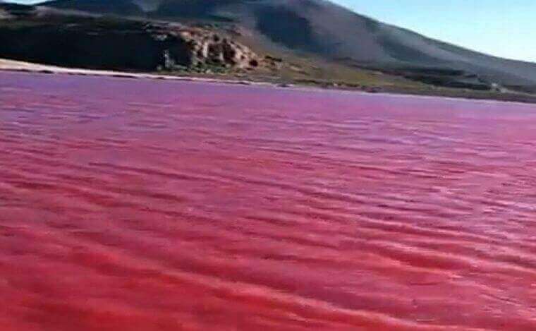 As águas do rio Nilo ficaram em um tom de vermelho carmesim.