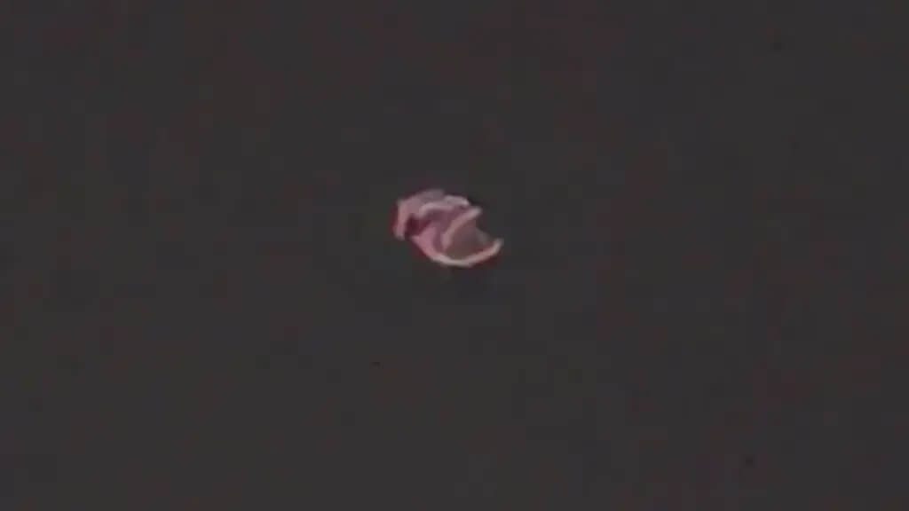 Um fenômeno ou um OVNI- Espiral giratória aparece no céu noturno da Califórnia