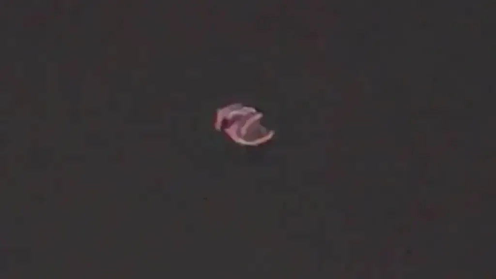 Um fenômeno ou um OVNI? Espiral giratória aparece no céu noturno da Califórnia