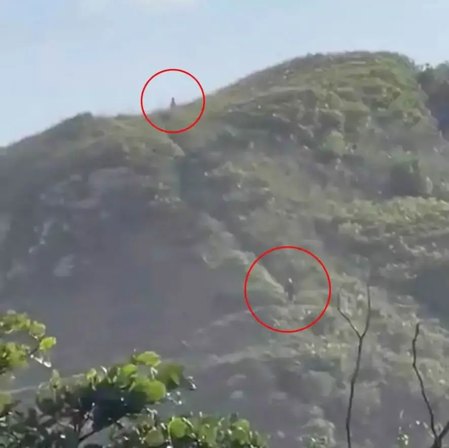 Dois humanoides supostamente gigantes fotografados dos quais um começa a descer a montanha.