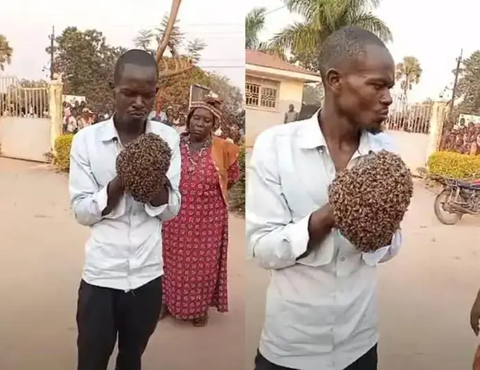 Em Uganda, um mágico africano usou abelhas para pegar um ladrão.