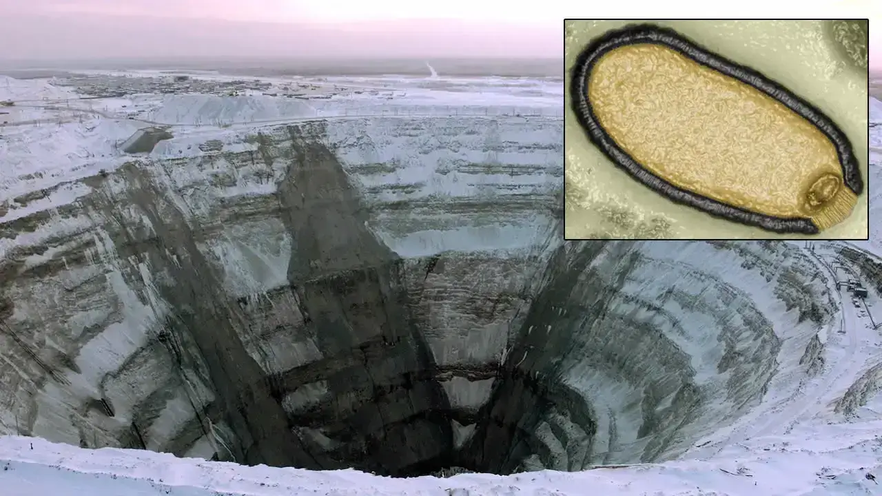 Vírus zumbis do Ártico, na Sibéria, ressurgem após 48 milênios