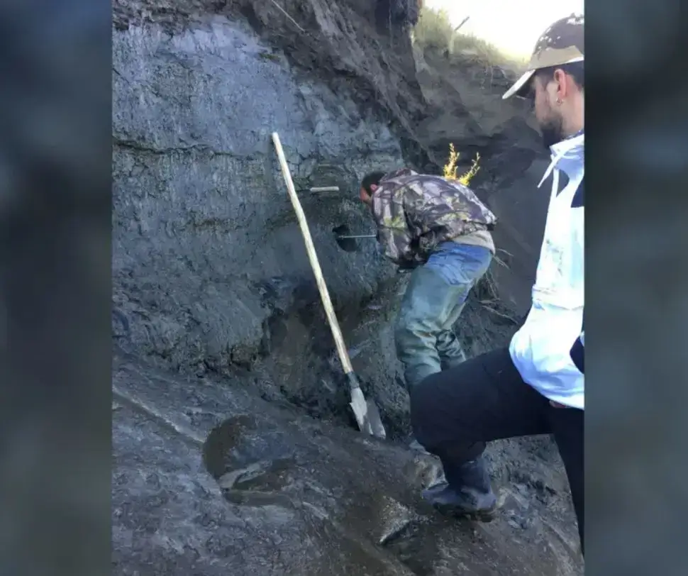 Núcleos de terra perfurados no permafrost da Sibéria foram analisados ​​em busca de vírus congelados.