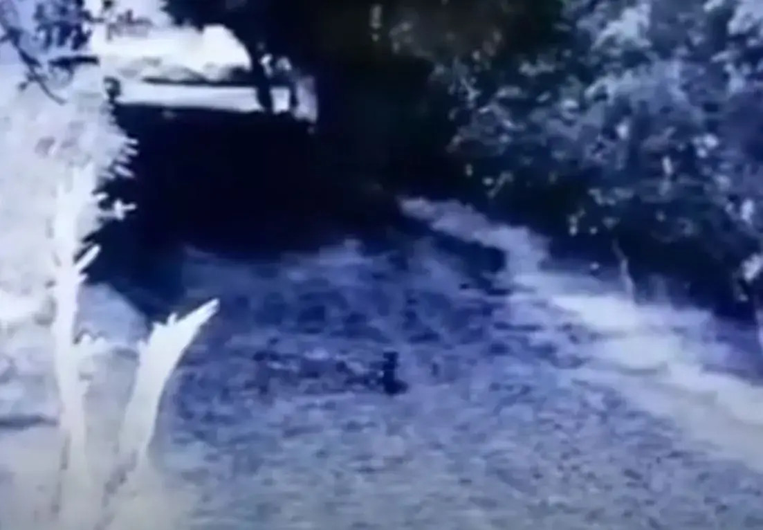 Câmera de segurança capturou uma criatura parecida com um duende correndo pela estrada