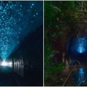 O segredo do misterioso Túnel Helensburgh foi descoberto