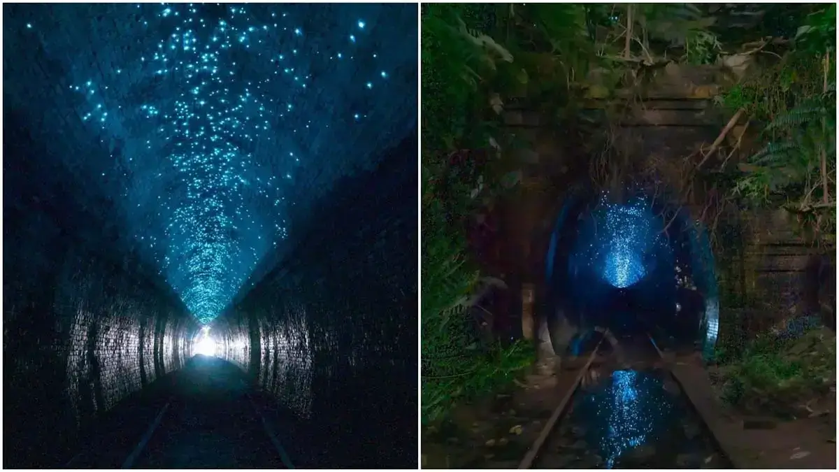 O segredo do misterioso túnel Helensburgh