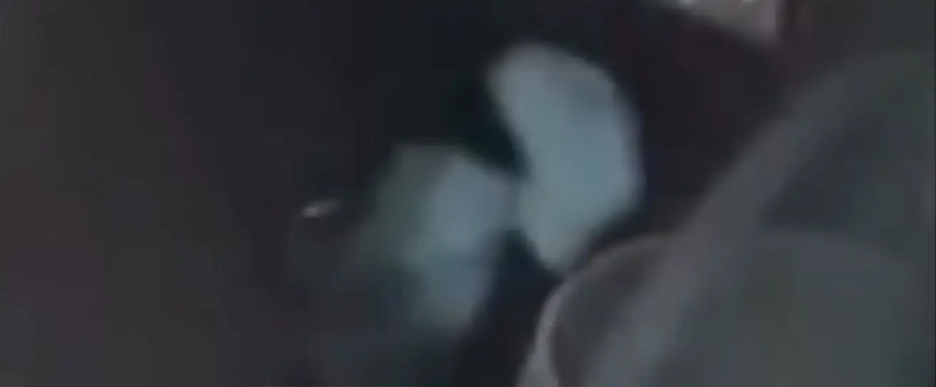 Imagem retirada do vídeo! Imagem retirada do vídeo!