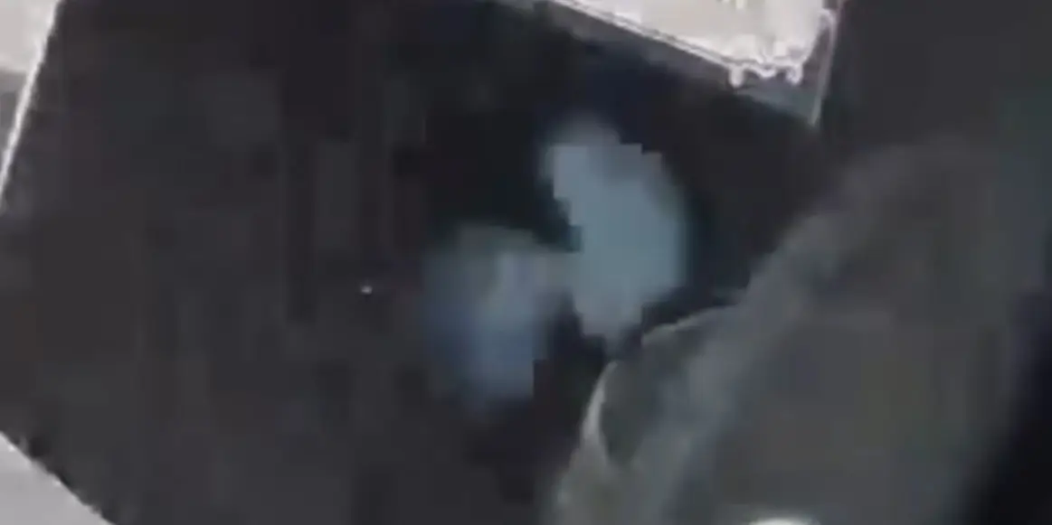 Imagem retirada do vídeo! Imagem retirada do vídeo!