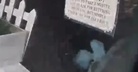 Entidade Alienígena Misteriosa é Filmada por Câmera de Campainha na Califórnia — Vídeo Intrigante Choca Moradores